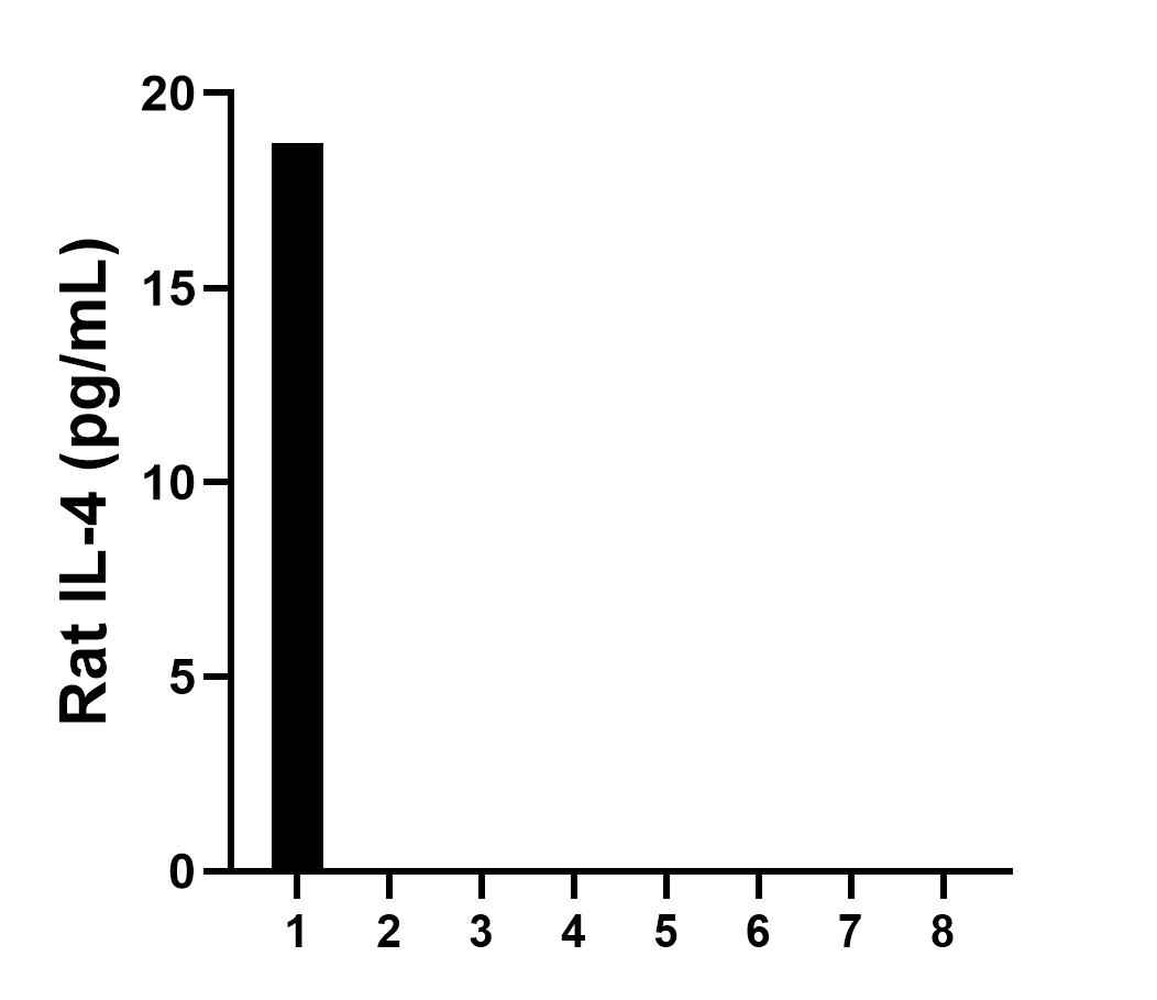 Serum of eight individual healthy human donors was measured. Seven measured less than the lowest rat IL-4 standard, 39.1 pg/mL. One sample read 18.7 pg/mL.